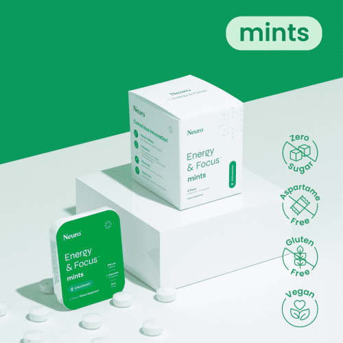 Spearmint / 6 pack (72 pc)